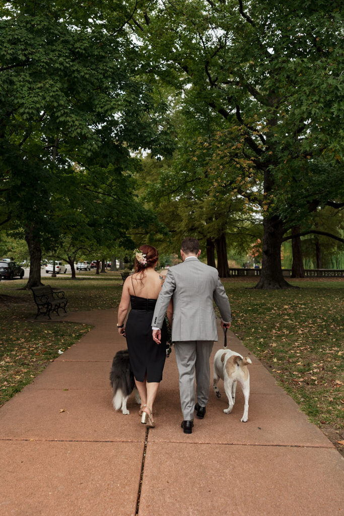 A couple walking away from the camera with their dogs on their wedding day in Tower Grove Park, St. Louis, Missouri. The bride is wearing a black dress.
